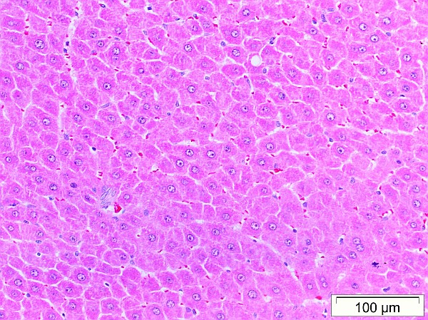 Case No 4, Fig. 6